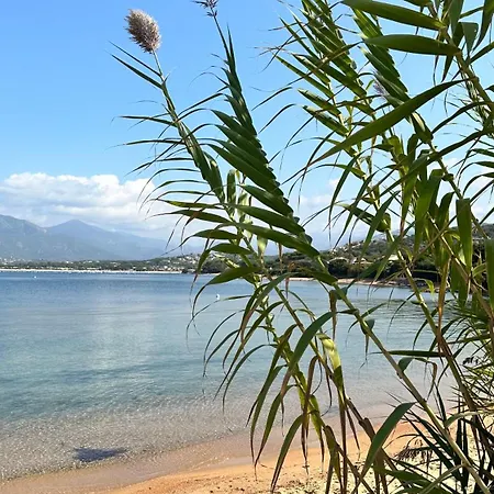 Villa De Caractere Avec Piscine A Porticcio